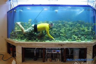 Kako narediti akvarij z lastnimi rokami