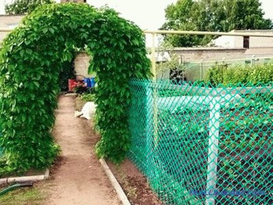 Kako izbrati vrtno mrežo za ograjo