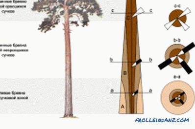 Razvrščanje lesa: avtomatizacija procesa