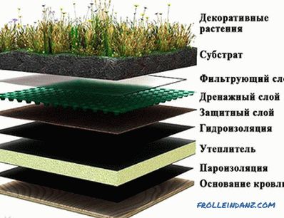 Kako narediti travnik na strehi