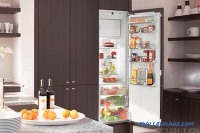 Kako izbrati hladilnik - strokovni nasvet