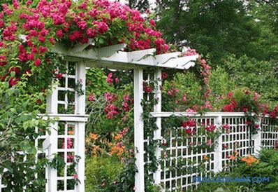 Do-it-yourself dekorativne ograje - izdelovanje okrasnih ograj