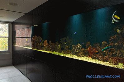 Akvarij v notranjosti stanovanja ali hiše